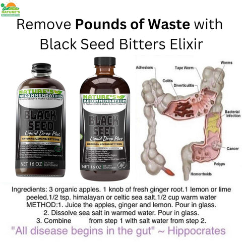 Infographic explaining how Nature’s Recommendation Living Bitters supports liver detox with dandelion, milk thistle, and turmeric.