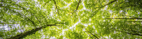 Nature’s Recommendation health and wellness