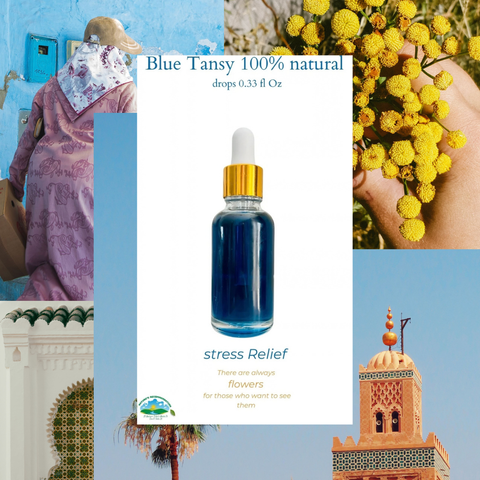 Moroccan Blue Tansy Perfume Oil – Calming Floral Elixir