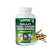 A bottle of Salam Nutrition Shilajit Panax Ginseng Ashwagandha Capsules with 60 capsules displayed in front of a white background. The bottle is labeled with the product name and an image of the corresponding herbs.