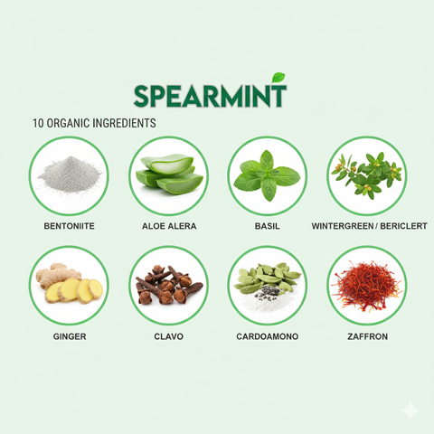 MEGA-LOT: 20-Pack Herbal Toothpaste - Final Stock Clearance