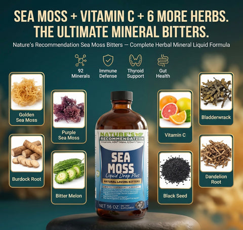 2 Bottles Kit Vitamin C Irish Sea Moss Bitters 16 oz