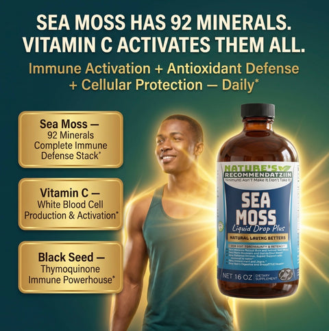 2 Bottles Kit Vitamin C Irish Sea Moss Bitters 16 oz