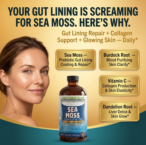 2 Bottles Kit Vitamin C Irish Sea Moss Bitters 16 oz