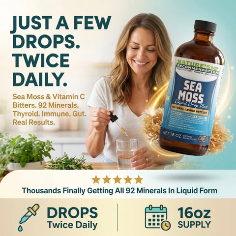 2 Bottles Kit Vitamin C Irish Sea Moss Bitters 16 oz