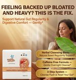 Detox Cleansing Tea - 30 Bags