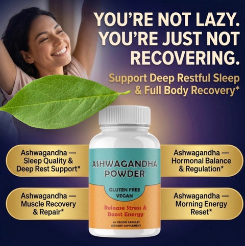 Ashwagandha 500 MG Capsules 60 Count