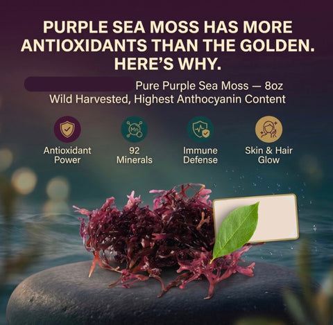 Purple Seamoss 8.oz bag