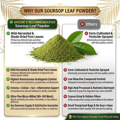 Soursop Leaves Powder 16 oz 454 Grams