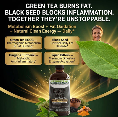 2 Bottles Kit Black Seed & Green Tea Extract Bitters 16 oz